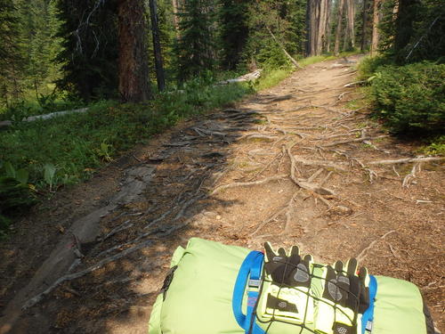 GDMBR: We rode here.